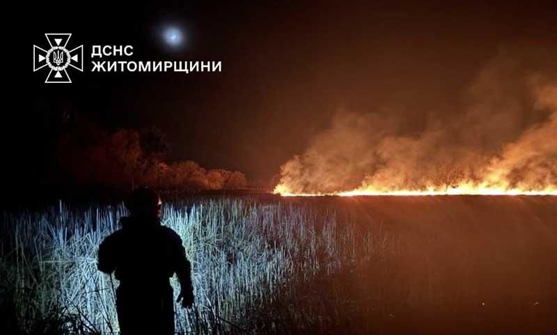 pozhzhi0703 2