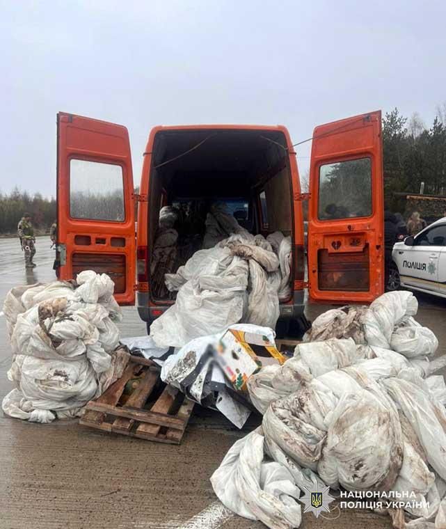 hkorzhi0150326 2