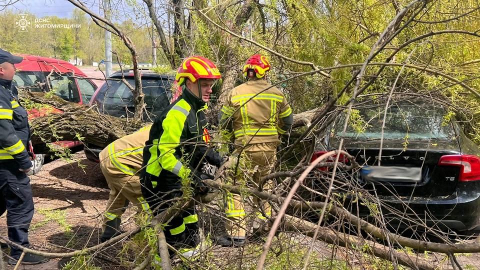 679363322 1288469633417161 8985139200418756879 n
