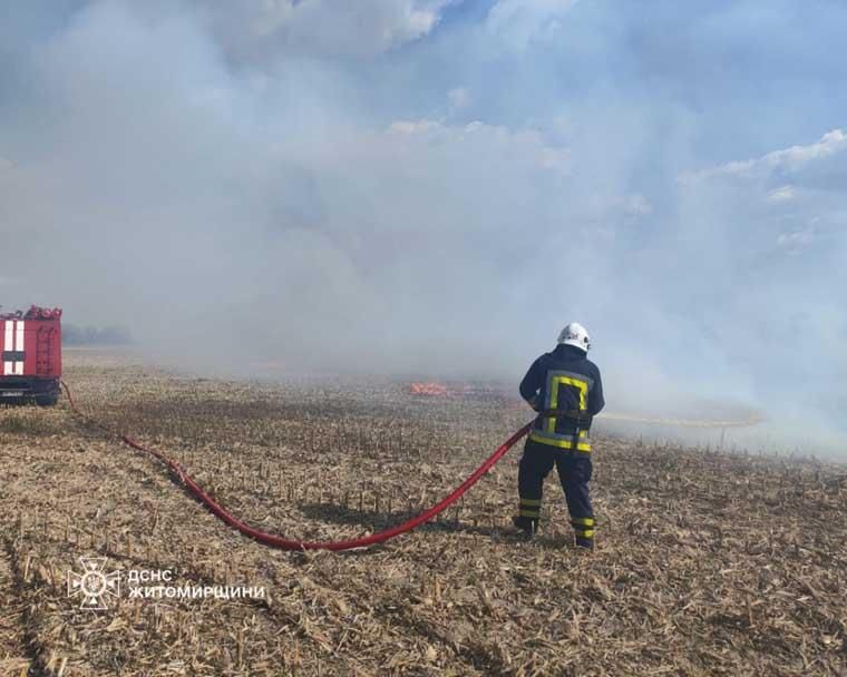 pozhkor040526 5